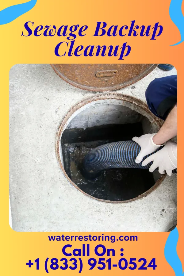 Sewage Backup Cleanup in Jeffersonville, VT